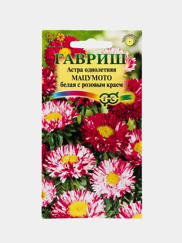 Астра "Мацумото" белая с розовым краем, семена, цветы