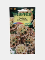 Семена Скабиоза Драмстик