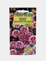 Аквилегия "Винки красная с белым", семена, цветы