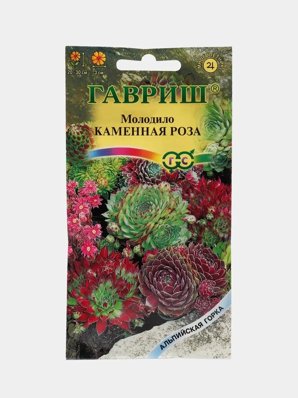 Семена молодило "Каменная роза"