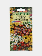 Гелихризум "Лаковые миниатюры", семена