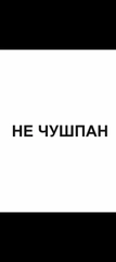 Наклейка на авто "НЕ ЧУШПАН"