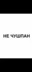 Наклейка на авто "НЕ ЧУШПАН"