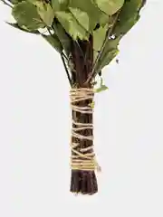 Веник для бани берёзовый Богатырский