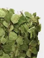 Веник для бани берёзовый Богатырский