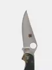 Нож складной Para Military 2 - Spyderco C81GPCMO2