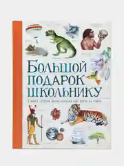 Книга Большой подарок школьнику
