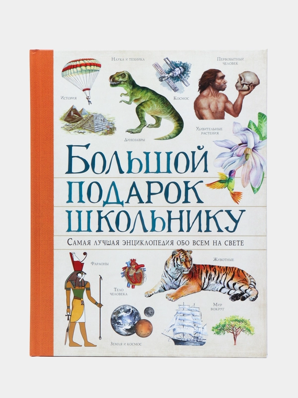 Книга Большой подарок школьнику