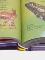Секретная книга с волшебным фонариком Зооленд, 22 стр