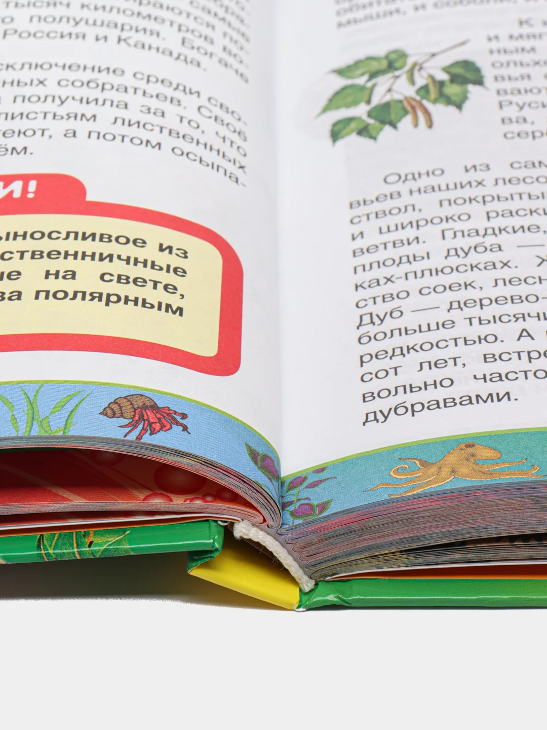 Первая энциклопедия школьника