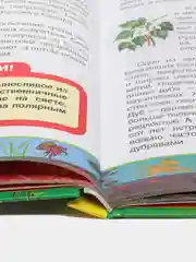Первая энциклопедия школьника
