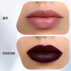 Помада-стик Influence Beauty INFLUENCE, тон 20, темно-сливовый, 4 г