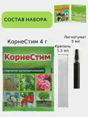 Система СУПЕРРАССАДА - для ускорения развития рассады