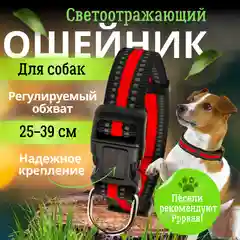 Красный ошейник для собак со светоотражающей полоской