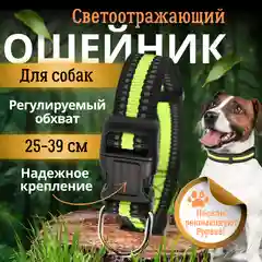 Красный ошейник для собак со светоотражающей полоской
