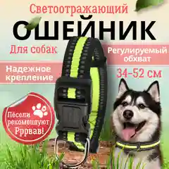 Красный ошейник для собак со светоотражающей полоской
