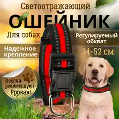 Красный ошейник для собак со светоотражающей полоской