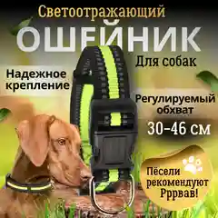 Красный ошейник для собак со светоотражающей полоской