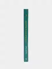 Дракон с серебряными рогами Книга 2