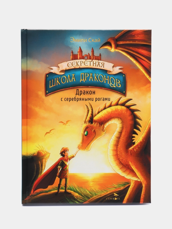 Дракон с серебряными рогами Книга 2