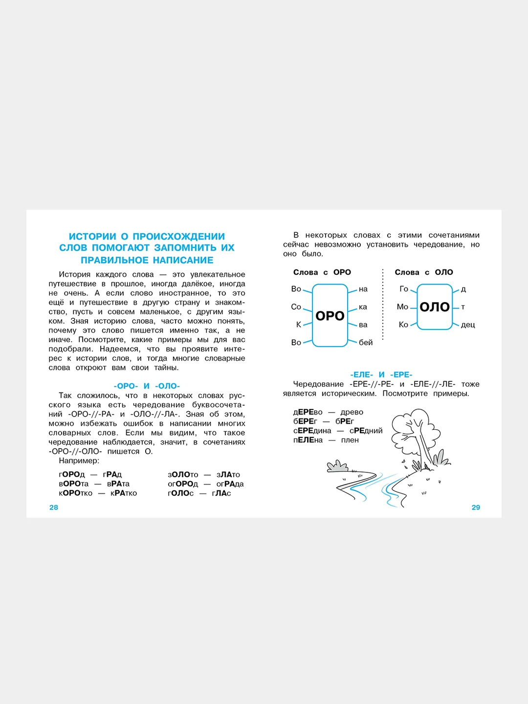 ПРАВИЛА ДЛЯ НАЧАЛЬНОЙ ШКОЛЫ (Комплект №1)