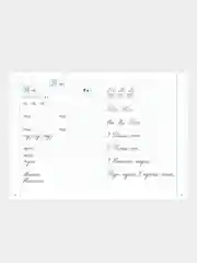 ТРЕНАЖЕР по чистописанию (набор из 2 тетрадей)