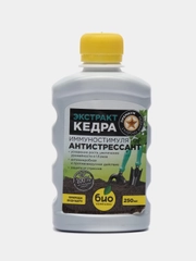 Экстракт Кедра