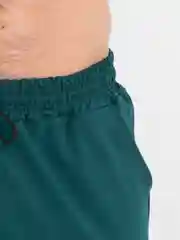 Зеленый спортивный, мужской костюм, летний, с шортами