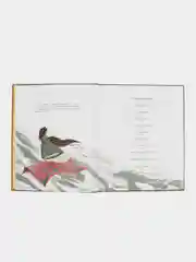 Книга "Догадайся сам"