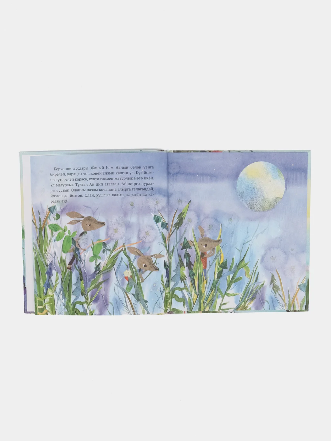Книга "Болан малае Олан"