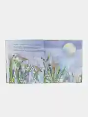 Книга "Болан малае Олан"