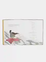 Книга "Узем белдем, диген"