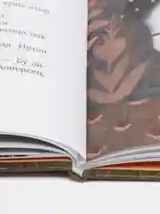 Книга "Узем белдем, диген"