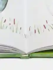 Книга "Сказки Алиша"