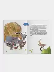 Книга "Сказки Алиша"