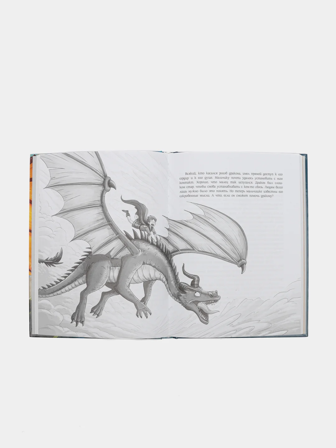 Секретная школа драконов Книга 1