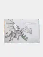 Секретная школа драконов Книга 1