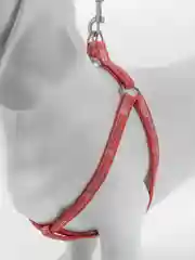 Красный шлейка с поводком для кошек и собак мелких пород
