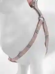 Розовый шлейка с поводком для кошек и собак мелких пород