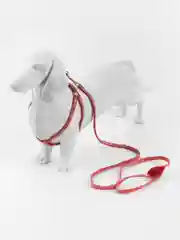 Красный шлейка с поводком для кошек и собак мелких пород