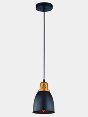 Подвесной светильник Arte Lamp EURICA A4248SP-1BK