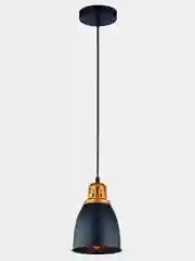 Подвесной светильник Arte Lamp EURICA A4248SP-1BK