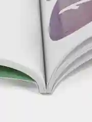 Школа маленьких совят 3+. Учимся считать