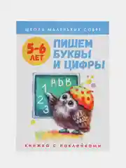 Школа маленьких совят 5-6 лет. Пишем буквы и цифры