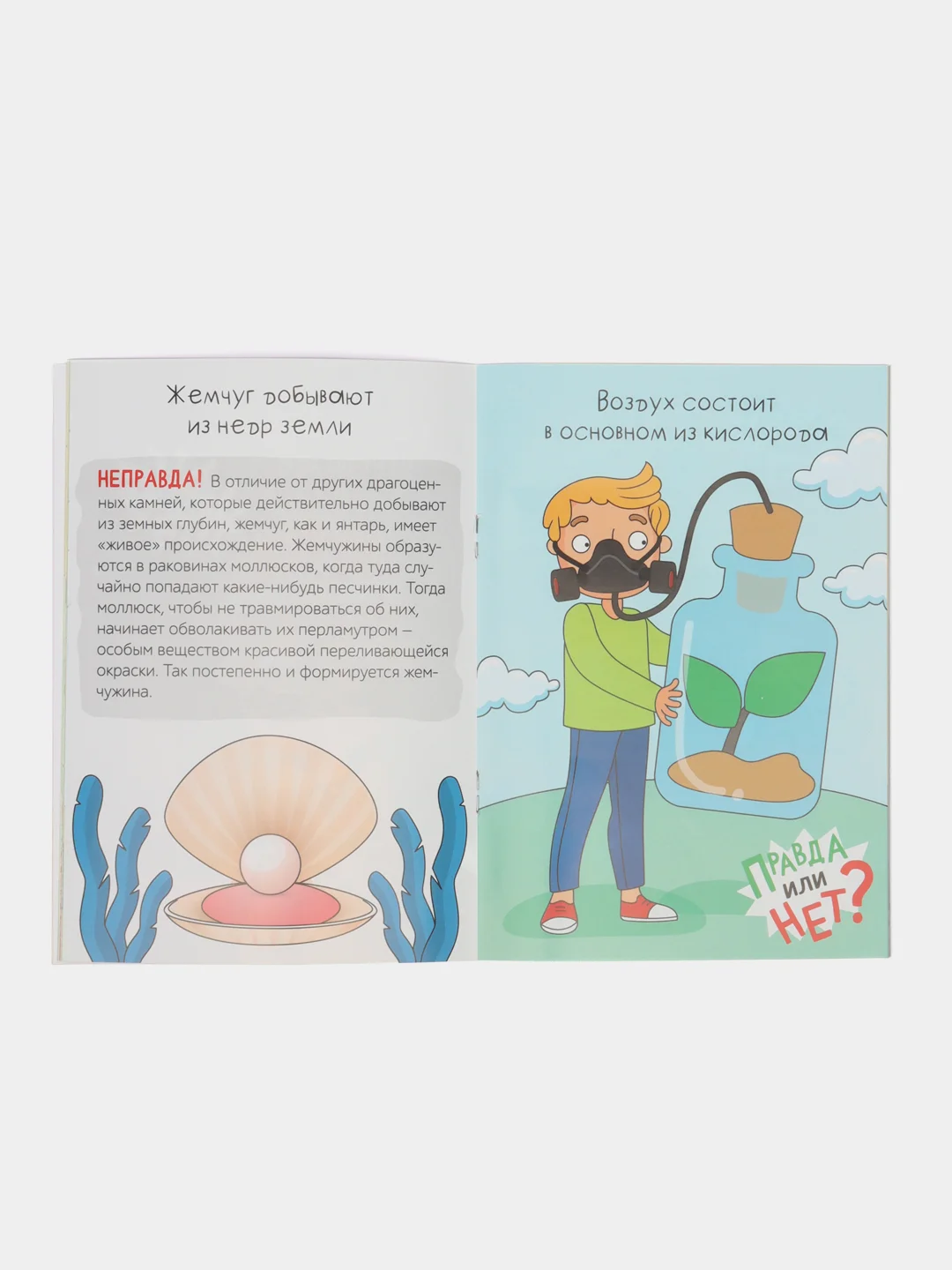 Обучающая книга Правда или нет? Что из чего, 44 стр