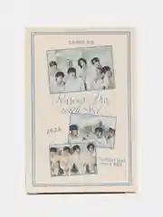 Бежевый карточки kpop Stray Kids,  Стрей Кидс, 55 штук