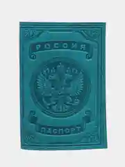 Зеленый обложка для паспорта с изображением полумесяца и мечети, 2 цвета