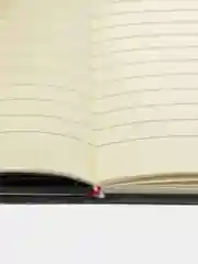 Ежедневник "Death Note" (Тетрадь смерти) коллекцилнный аниме с пером-ручкой, А5