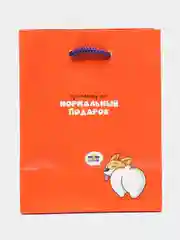 Пакет подарочный 11*14*6,5см ArtSpace "Нормальный подарок", ламинированный