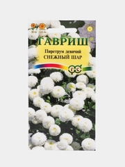 Пиретрум "Снежный Шар" семена цветов